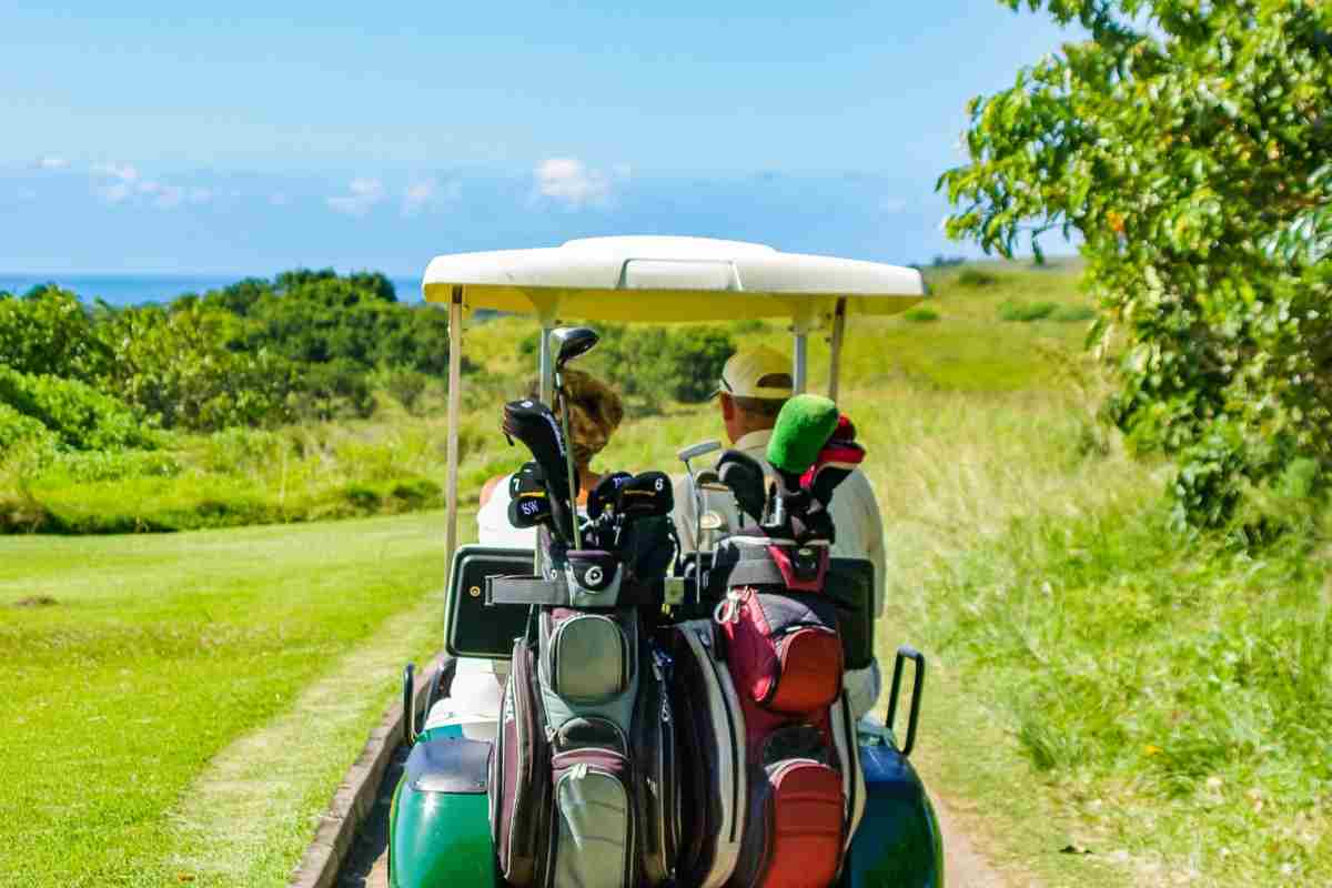 Sacche da golf: si può scegliere tra 4 modelli